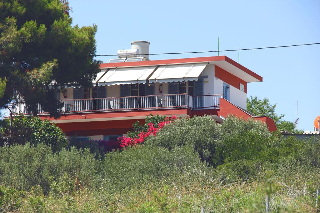 Αlexandros Apartment Votsi  المظهر الخارجي الصورة